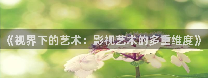 青柠在线观看免费高清影院：《视界下的艺术：影视艺术的多重维度》