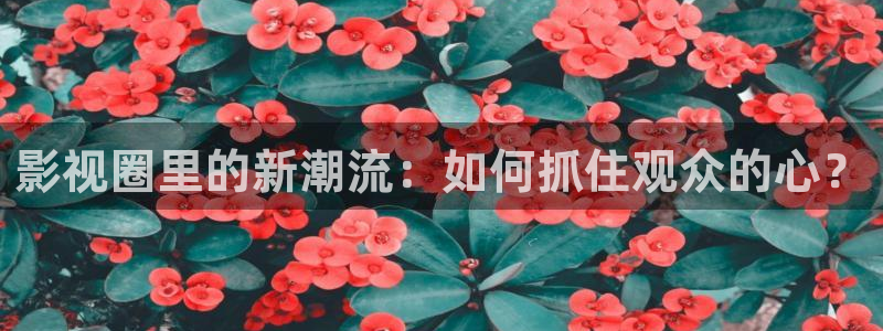 青柠影院的电视剧在线观看：影视圈里的新潮流：如何抓住观众的心？