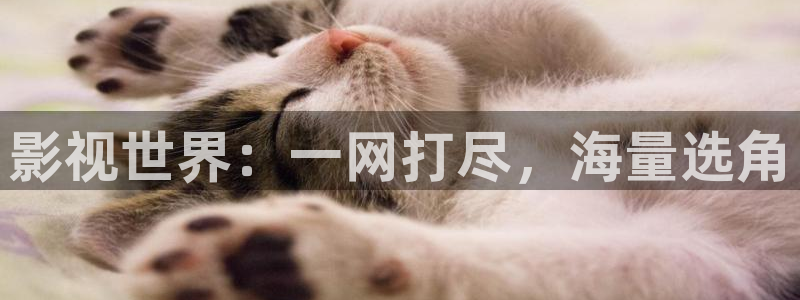 青柠在线电影免费观看：影视世界：一网打尽，海量选角